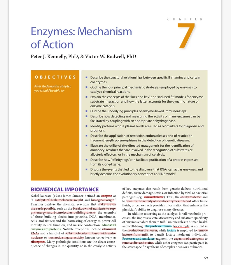 Prelims preparation · Enzymes & kinetics
